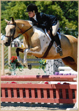 Eye Candy pony for sale