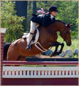 Magic Carpet pony for sale