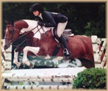 Colorful Scenario for sale