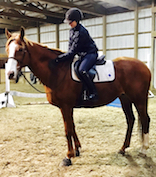 Snug Harbor in our indoor ring 2017